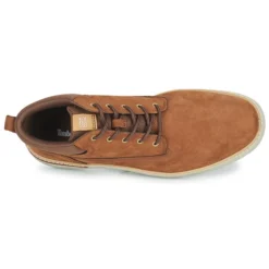 Timberland CROSS MARK PT CHUKKA Couleur Marron -Kdopa shop 22550187 500 F