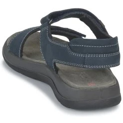 Westland ALSACE 02 Couleur Bleu -Kdopa shop 24288755 500 E