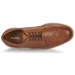 Aldo WINGSTROLL Couleur Marron -Kdopa shop 24751699 500 F
